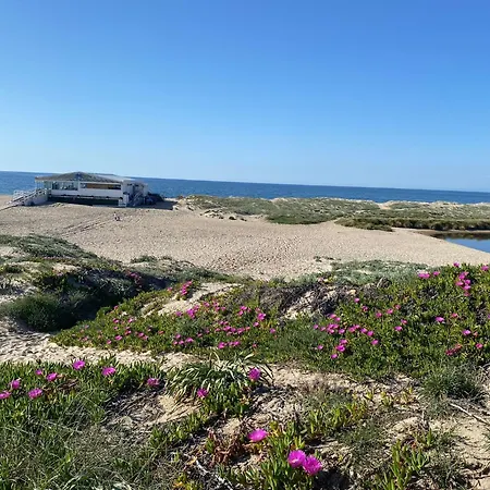 Daire Casa Andrea Valledoria (Sardinia)