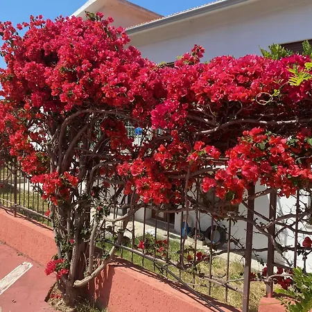 Casa Andrea شقة *
